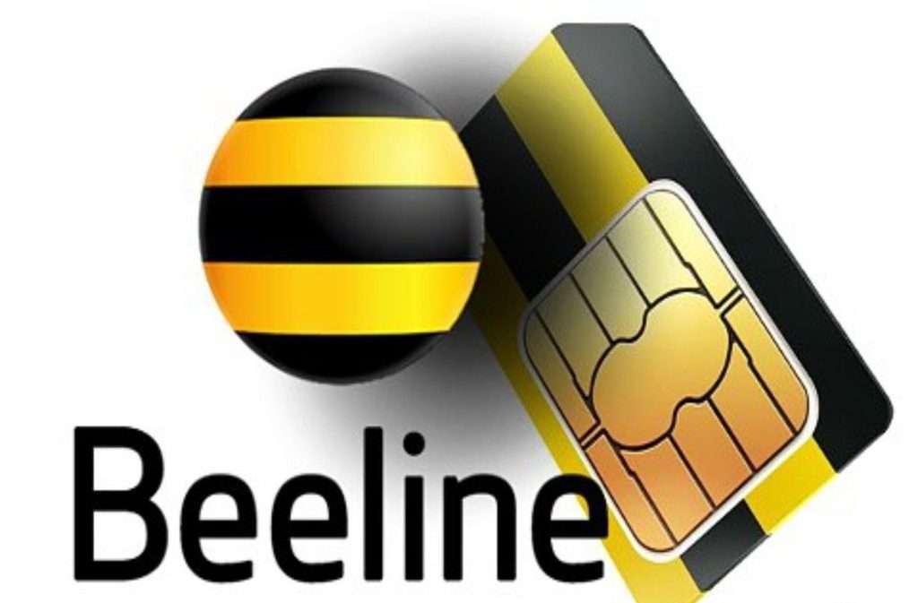 Як дізнатися номер телефону на SIM-карті Білайн — докладна інструкція