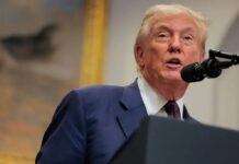 Адміністрація Трампа призупиняє тиск щодо блокування законів про штучний інтелект на державному рівні