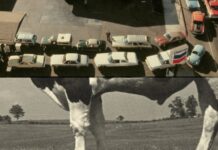 Розділення економічного зростання та екологічного впливу: переосмислення м’яса та автомобілів в економіці США