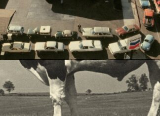 Memisahkan Pertumbuhan dari Dampak Lingkungan: Memikirkan Kembali Daging dan Mobil dalam Perekonomian AS