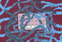Перекресток противозачаточных средств: Почему американцы сомневаются в таблетке