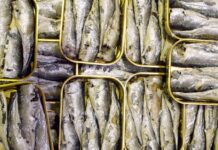 Сардини: від їжі для виживання до символу статусу покоління Z