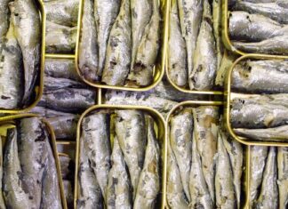 Sardinky: Od jídla pro přežití k symbolu stavu generace Z