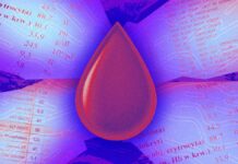 Бум ІІ-аналізів крові: персоналізовані дані про здоров’я чи цифрові ворожіння?