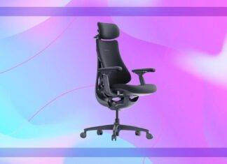 De LiberNovo Ergo Deal op Prime Day